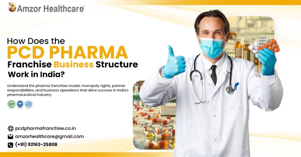How Does the PCD Pharma Franchise Business Structure Work in India?
